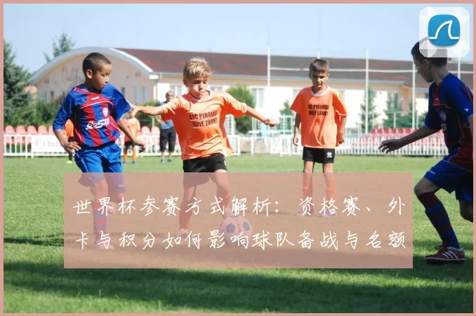 世界杯参赛方式解析：资格赛、外卡与积分如何影响球队备战与名额